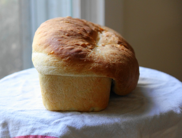 The little bread that couldn't
